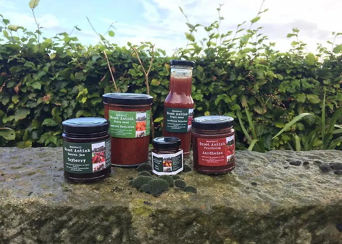 Apartament Groot Antink *